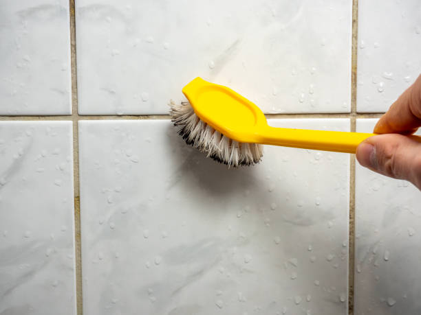 Best Fast Mold Removal  in Oberlin, KS