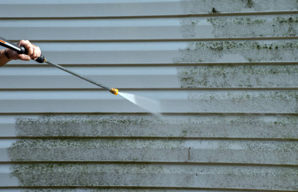 Best Local Mold Removal Service  in Oberlin, KS