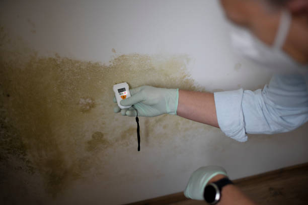 Best Office Mold Removal Services  in Oberlin, KS