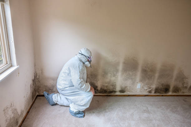 Best Mold Testing  in Oberlin, KS